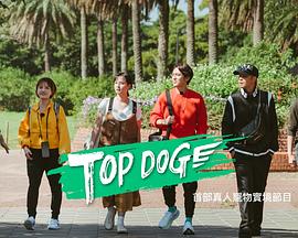 糖心vlog传媒《TOP DOG》免费在线观看